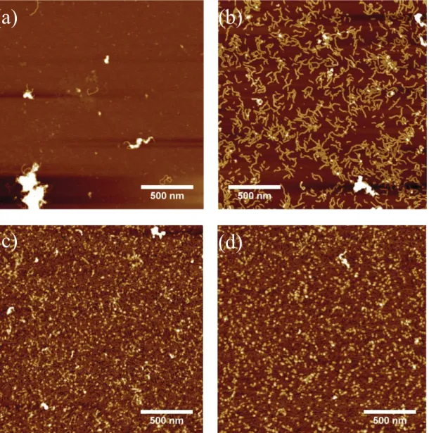 Figure S5. AFM height images of mica substrates immersed for 15 min into solutions (100 mM  acetate buffer, pH = 4) containing a) 10 mg L -1 , b) 20 mg L -1 , c) 50 mg L -1  and d) 100 mg L -1  DP4.