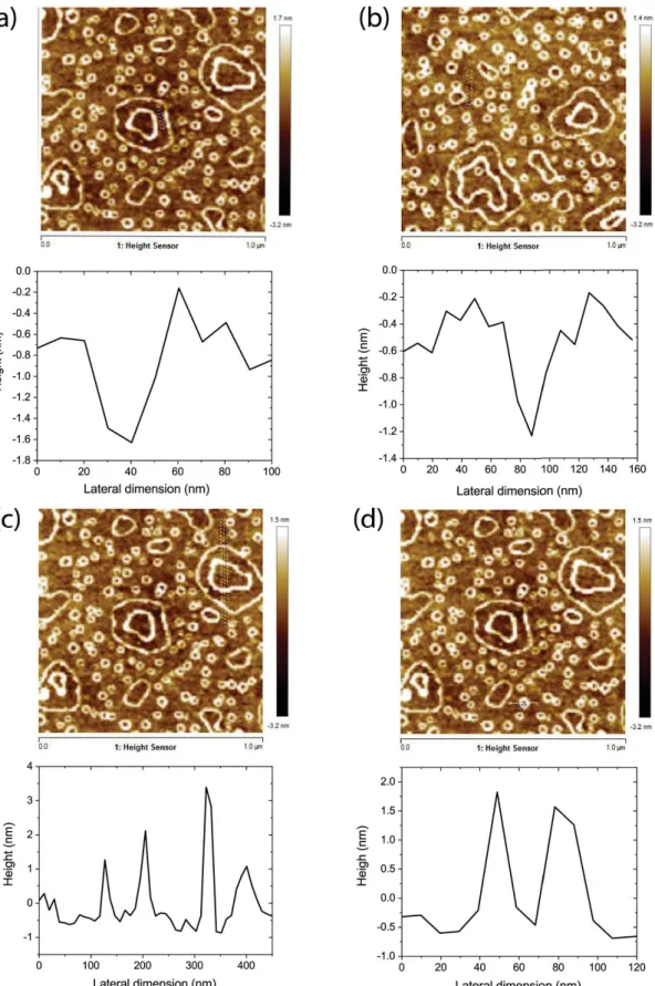 Figure S7. AFM images and profiles of different sections of DP1 deposited on glass substrates