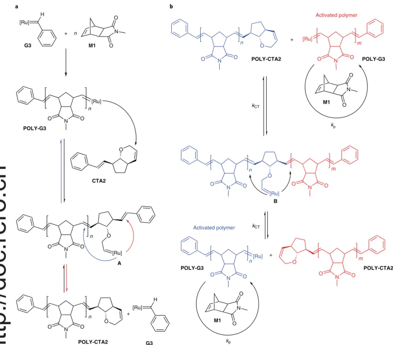 Fig. 4 | Mechanism of catalytic living ROMP, involving degenerative metathesis chain transfer