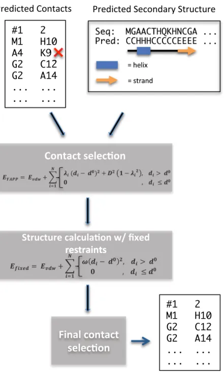 Figure 1.  Workflow diagram of the CE-YAPP method. Predicted coevolution contacts and predicted secondary  structure are used in combination to filter out false positive contacts