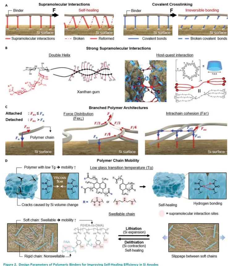 Figure 2. Design Parameters of Polymeric Binders for Improving Self-Healing Efﬁciency in Si Anodes (A) Importance of supramolecular interactions in comparison to covalent crosslinking for the binder system.