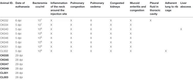 TABLE 2 | Summary of post mortem records of goats.