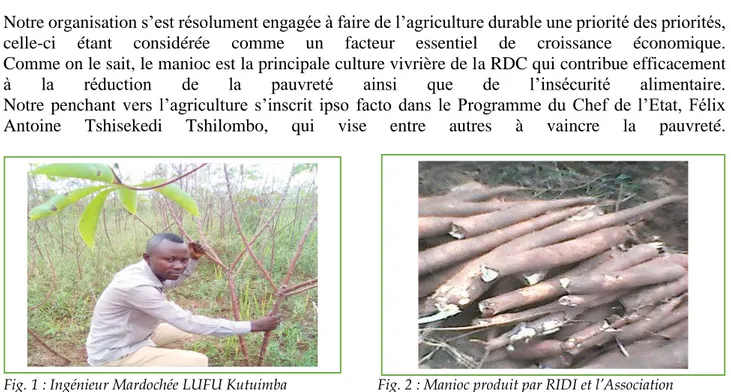 Fig. 1 : Ingénieur Mardochée LUFU Kutuimba                        Fig. 2 : Manioc produit par RIDI et l’Association  Chef de Département Agriculture et Sécurité                                        Kashipa Malanda à Nganza