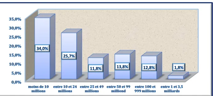 Graphique 13: Répartition du CA suivant le régime juridique des PME 