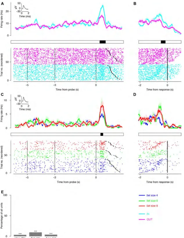 Fig. 3. The activity of probe neurons is related to WM retrieval. (A) Example probe neuron recorded from the entorhinal cortex