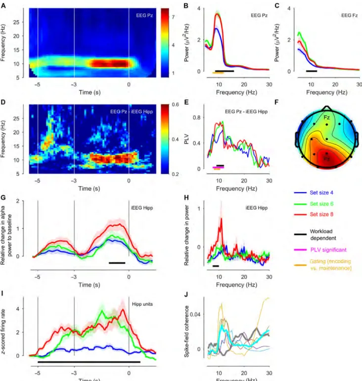 Fig. 5. Neuronal responses in the WM network in subject 1. (A) The task induced high alpha power in the scalp EEG at electrode site Pz, predominantly during maintenance (only trials with set size 8 in this analysis; n = 55)