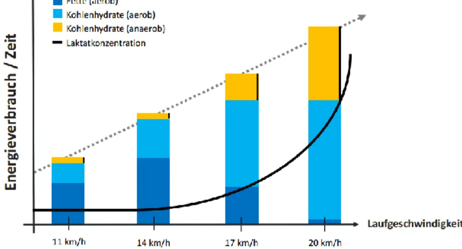 Abbildung 7. Intensität einer Belastung bestimmt die Energiequelle. (Trösch,  2015, S