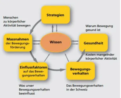 Abbildung  1.  Einflussfaktoren  und  Zusammenhang  von  Gesundheit. 