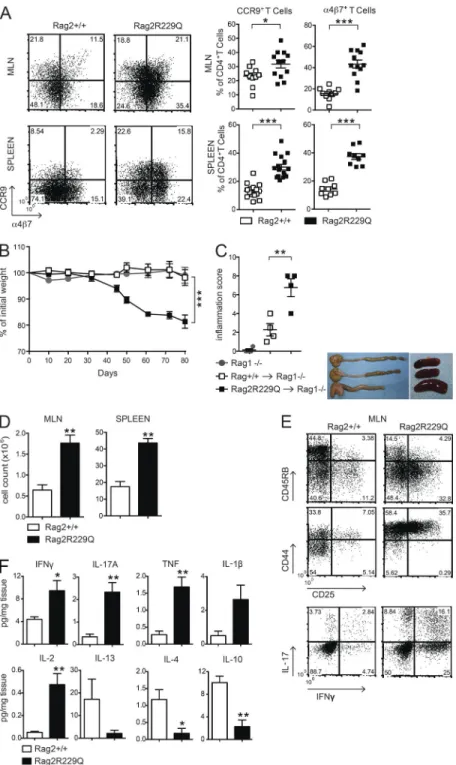 Figure 2.  Rag2 R229Q  CD4 T cells have enhanced gut  tropism and cause colitis. (A) Representative FACS  plots showing the expression of gut homing receptors,  CCR9 and α4β7, on gated CD44 hi CD62L − CD4 +  T cells from  MLNs and spleen of Rag2 +/+  and R