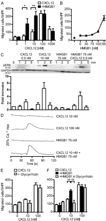 Figure 2.  HMGB1 increases CXCL12-induced activities in human  monocytes and CXCR4-transfected cells and is sensitive to  glycyr-rhizin