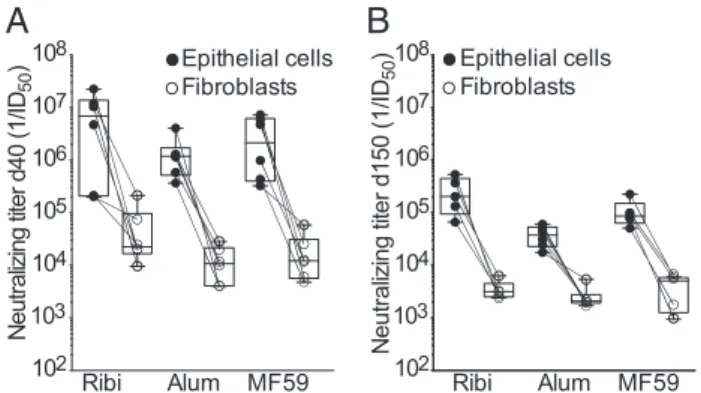 Fig. 3. Persistence of neutralizing antibodies in mice immunized with pentamer produced in CHO cells and formulated with different adjuvants.