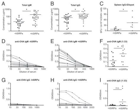 Fig. 4. Improved humoral antigen-speci ﬁ c immune responses in hSIRPa-transgenic mice