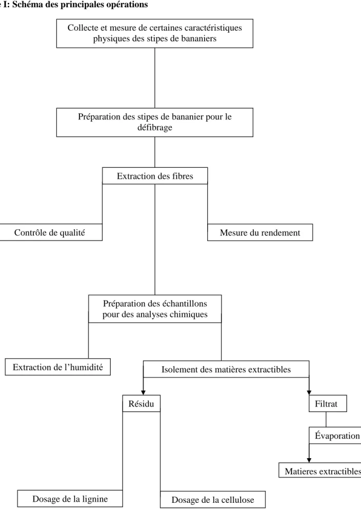 Figure I: Schéma des principales opérations  