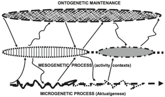 Figure 7.  La représentation du temps qui passe : la relation entre l’ontogenèse, la mésogenèse et  la  microgenèse