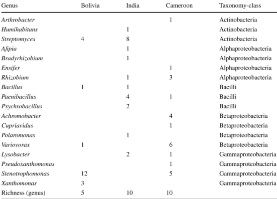 Table 2    Summary of the  taxonomical classiﬁcation based  on the results of Seqmatch of  the Ribosomal Database Project  (RDP) for the isolated strains