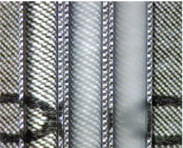 Fig. 3 Hz-catalyzed precipitation polymerization of NIPAAm in glass capillaries. Microscopic photography (×20 magni ﬁ cation) of