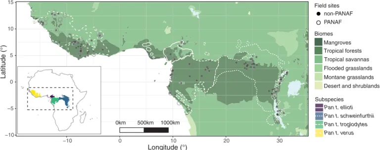 Fig. 1. Locations of all 144 unique chimpanzee communities for which information on select behaviors was collected for this study