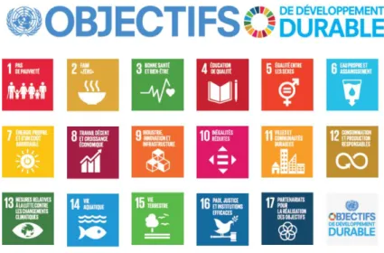 Figure 2. Représentation des 17 thématiques du DD des Nations Unies 