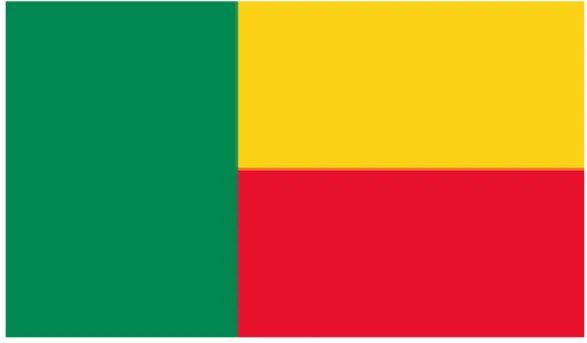 Figure 7 – Drapeau du Bénin 