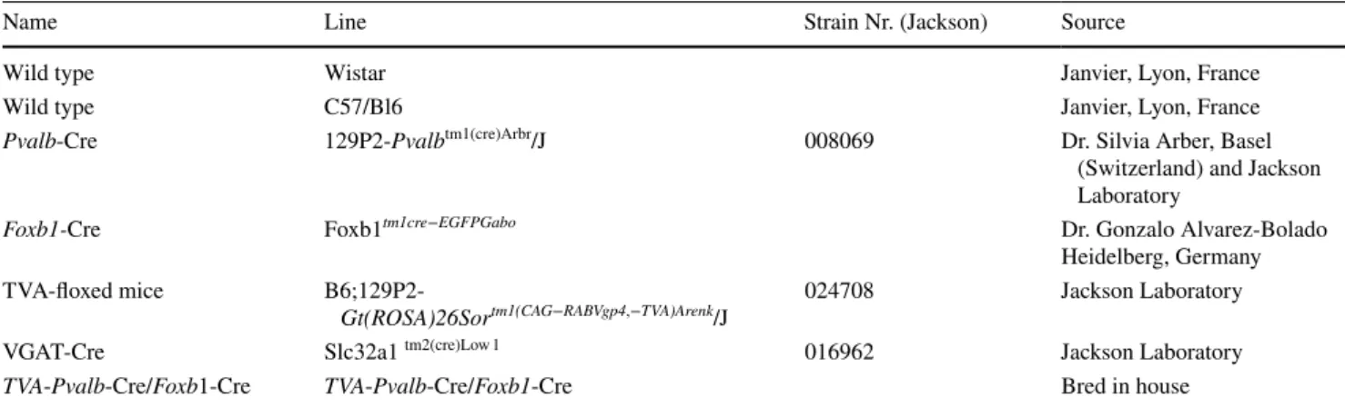 Table 1    Strains of rats and mice that were utilized to study the projections from the OFC