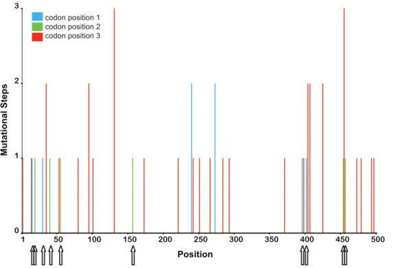 Figure S1 Electropherograms from sample Bam73, which contains more than one virus isolate (Top row: forward sequence;