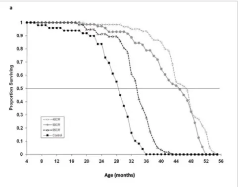 Figure 1: Survival curves for four treatment groups in the caloric restriction