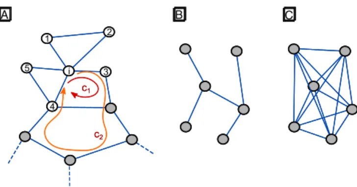 Fig. 13. Cyclic coeﬃcient. (A) An example for the local cyclic coeﬃcient computation: