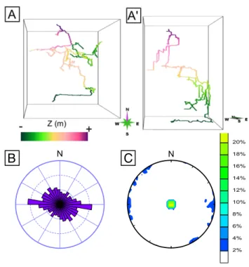 Fig. 7. Orientation analysis of the Ratasse karst: an example of network with two preferential orientations: a subvertical one and a subhorizontal one