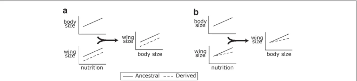 Figure 6. Evolutionary change in either the intercept (a) or slope (b) of a trait’s reaction norm can influence allometry.