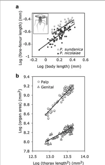 Figure 1. Static allometries can vary for the same organ between species and between different organs within a species