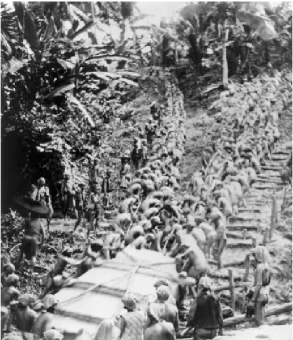Fig. 2 The moving of the stone of Saonigeho in 1914 in South Nias.