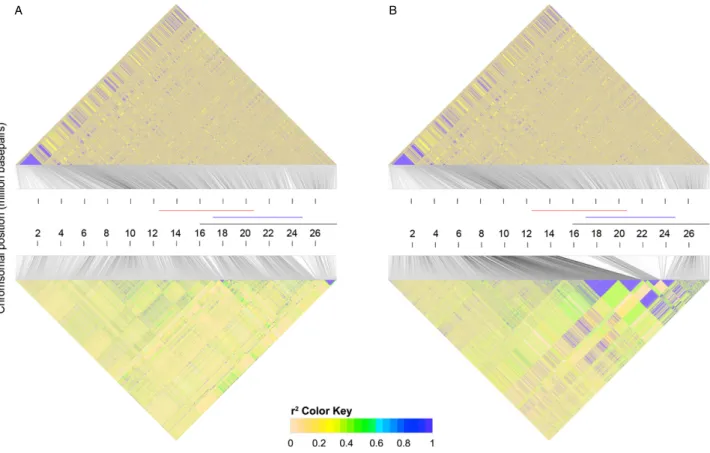 Fig. 2 Linkage disequilibrium for In(3R)Mo and In(3R)C. Triangular heatmaps show estimates of r 2 for 5000 randomly sampled SNPs across 3R