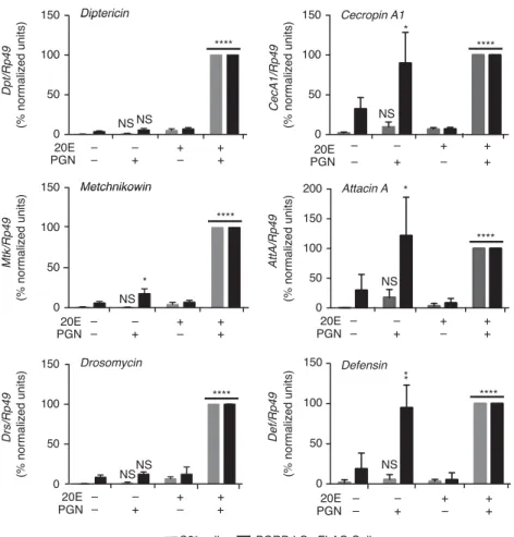 Figure 3 20E-dependent and -independent expression of AMP genes in PGRP-LCx-FLAG cells