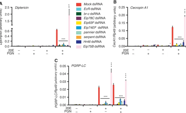 Figure 4 Classic ecdysone signalling pathway components regulate PGRP-LC expression and AMP gene induction