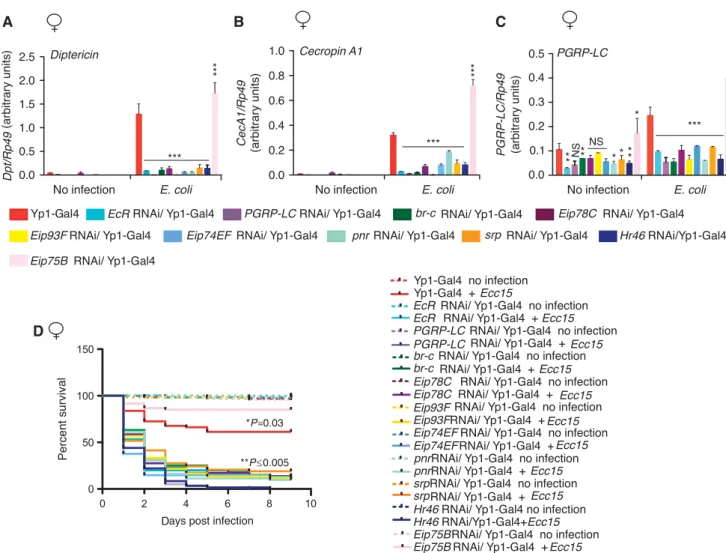 Figure 6 EcR, br-c, Eip93F , Eip78C, Eip74EF, Hr46, pnr, and srp knockdown causes immunodeficiency in adult flies