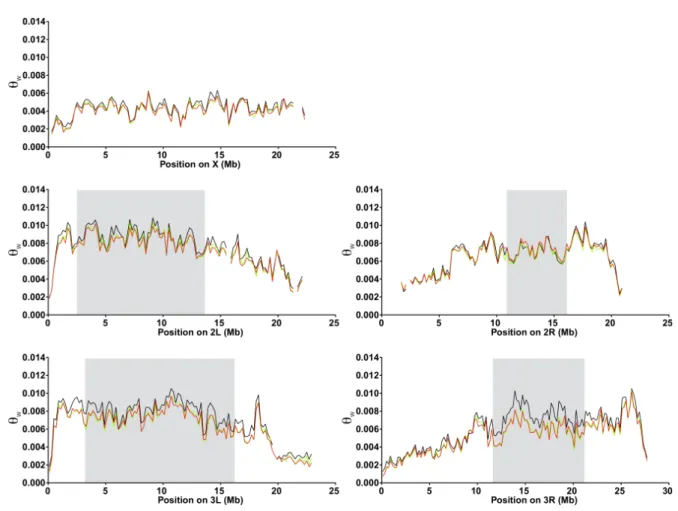 Fig. S2  Average scaled population mutation rate  θ W . Average  θ W  was estimated  over 200 kb non-overlapping windows and plotted separately for each chromosomal  arm