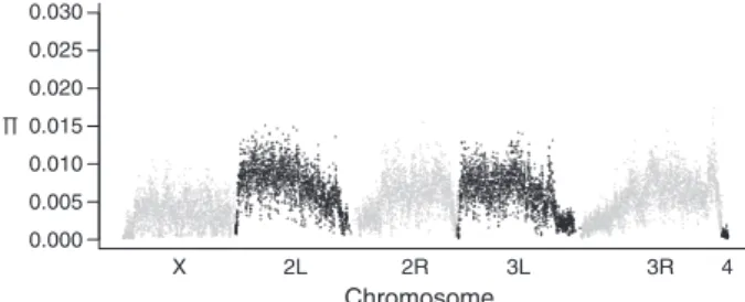 Fig. 1 Genome-wide polymorphism pattern in the base popu- popu-lation. Estimates of p in non-overlapping 10 kb windows (Kofler et al