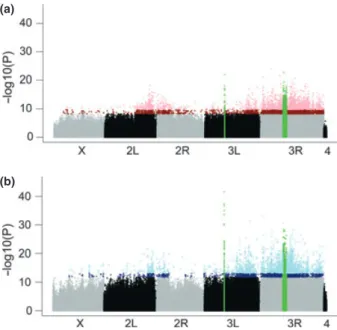 Fig. 2 Genome-wide distribution of selected SNPs. Manhattan plots showing (a) P-values of all SNPs identified from the  com-parison between the base and the middle of the experiment  (B-M) and (b) P-values of all SNPs identified from the comparison between