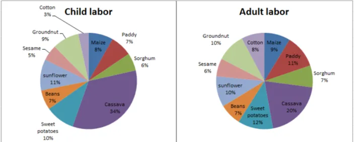 Figure A2: Labor distribution among main crops