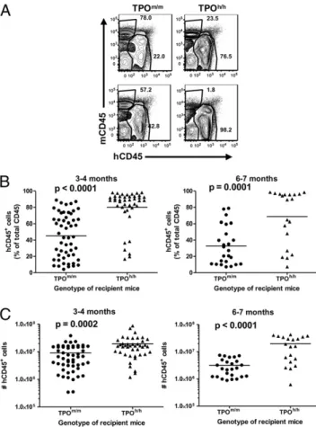 Fig. 1. Faithful tissue-speci ﬁ c expression of human TPO in knock-in mice. (A) RT-PCR analysis of mouse TPO (mTpo) and human TPO (hTPO) expression in different tissues of a Rag2 +/− γ c Y/− TPO h/m mouse