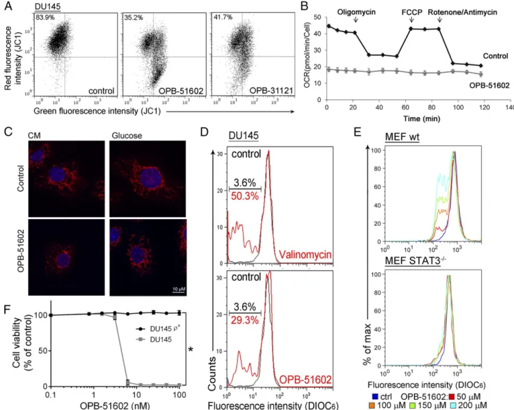 Fig. 2. OPB-51602 impairs mitochondrial function. (A) MMP (JC1 staining) in DU145 cells treated with OPB-51602 and OPB-31121 for 2 h in CM