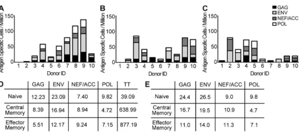 Figure 3.  Precursor frequencies of HIV-1 and TT–specific T cell responses detected within the naive, and memory CD4 +  T cell subsets