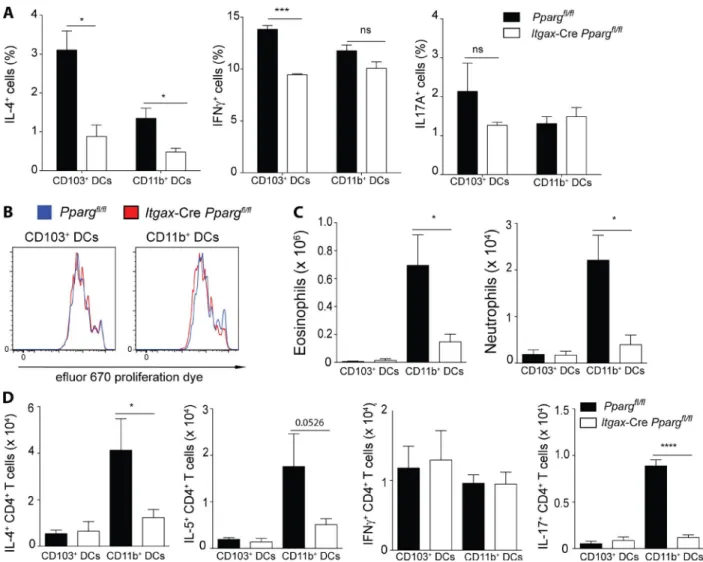 Figure 8. PPAr γ  in dcs intrinsically controls th2 polarization. Lung DCs from Pparg fl/fl  and Cd11c-CrePparg fl/fl  mice, which had been reconstituted with  WT AMs were sorted and cultured in vitro for 4 d with OTII cells and 10 nM OVA 323-339  peptide