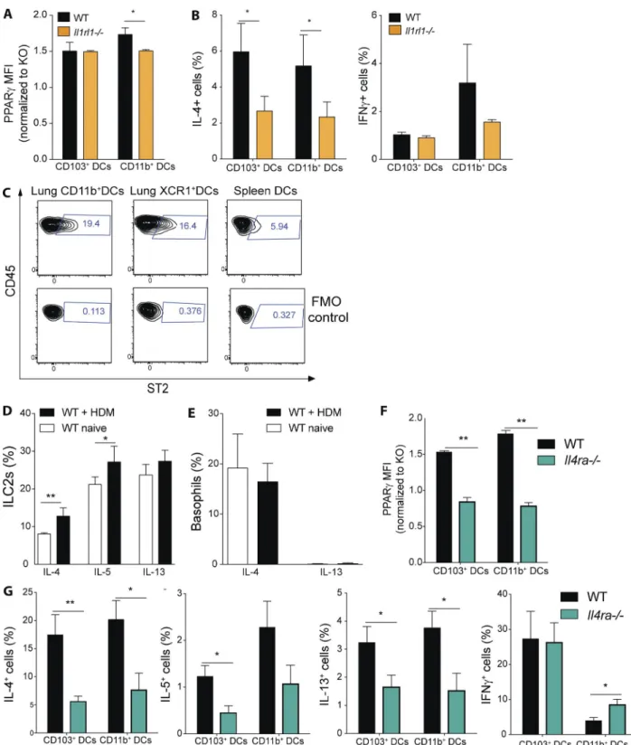 Figure 9.  IL-4 receptor and IL-33 receptor signaling controls PPArγ expression and dc-mediated th2 polarization