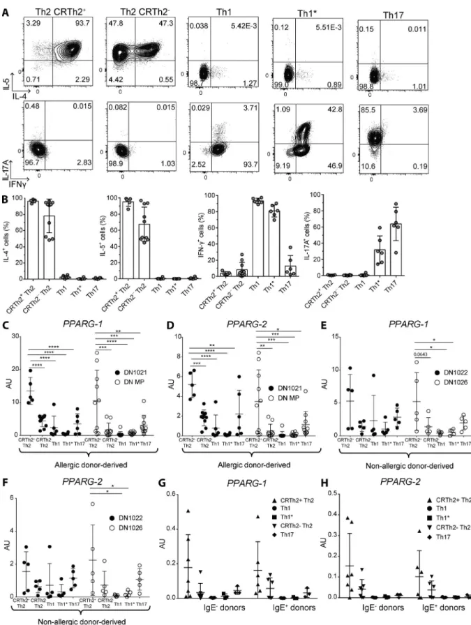 Figure 4. PPArγ  is highly expressed in human effector memory th2 cells. Effector memory T cells were sorted from PBMCs of human allergic  and non-allergic donors, according to chemokine receptor expression and subsequently cultured in vitro as described i