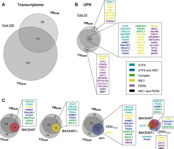 Figure 2. Transcriptional responses to ER stress–inducing chemicals and unfolded proteins