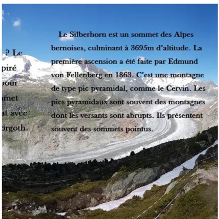 Figure 13 : Démonstration du produit – partie informative 