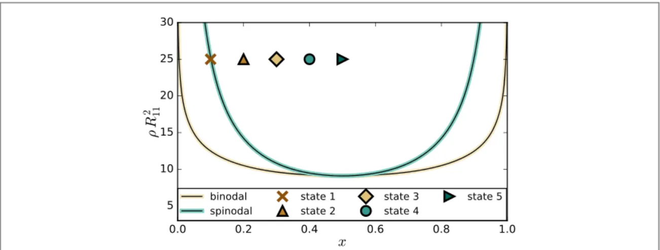 Figure 1. Phase diagram for the planar system as a reference point. Binodal and spinodal curves, as well as the states analyzed in this study are indicated