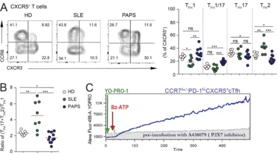 Figure S4. Distribution of functional cTfh cell subsets in CXCR5 +  cells from HDs and SLE and PAPS patients