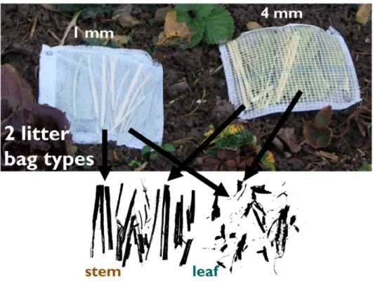 Figure B.1: Litter bag types used for the decomposition study. Litter bags (18 cm x 18 cm) were constructed in accordance with Finerty et al